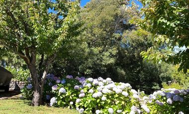 3 Casas con orilla Lago Colbún en 16.870 m2.