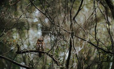 Parcela en Venta en Sector Puyao, Rilán - Castro