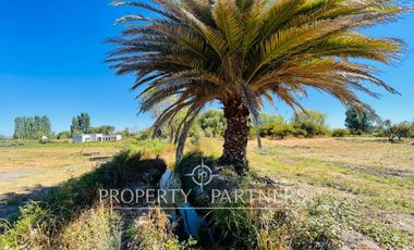 Peralillo, Oportunidad en Colchagua: 6 Lotes con Rol Propio