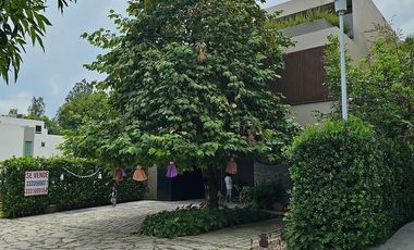 Propiedad en Arauca I