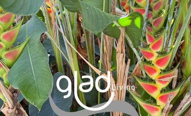 Departamento en Venta en Nayamar