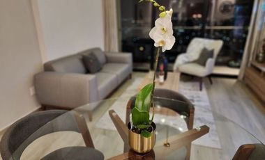 Departamento en renta amueblado en Distrito Piamonte, Qro