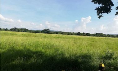 VENTA DE FINCA GANADERA EN PIOJO - ATLANTICO