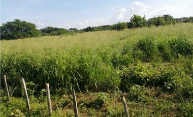VENTA DE FINCA GANADERA EN PIOJO - ATLANTICO