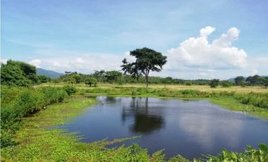 VENTA DE FINCA GANADERA EN PIOJO - ATLANTICO