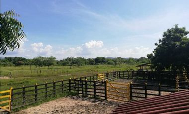 VENTA DE FINCA GANADERA EN PIOJO - ATLANTICO