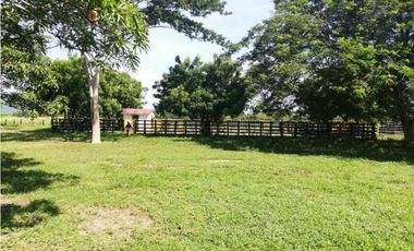 VENTA DE FINCA GANADERA EN PIOJO - ATLANTICO