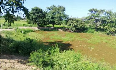 VENTA DE FINCA GANADERA EN PIOJO - ATLANTICO