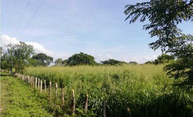 VENTA DE FINCA GANADERA EN PIOJO - ATLANTICO