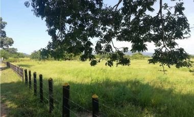 VENTA DE FINCA GANADERA EN PIOJO - ATLANTICO