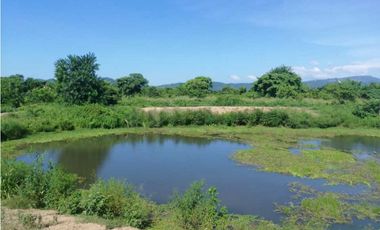 VENTA DE FINCA GANADERA EN PIOJO - ATLANTICO