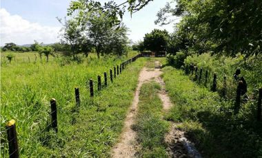 VENTA DE FINCA GANADERA EN PIOJO - ATLANTICO