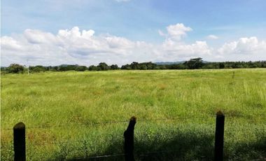 VENTA DE FINCA GANADERA EN PIOJO - ATLANTICO