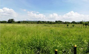 VENTA DE FINCA GANADERA EN PIOJO - ATLANTICO