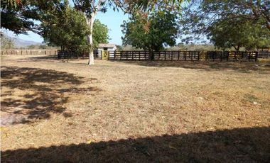 VENTA DE FINCA GANADERA EN PIOJO - ATLANTICO