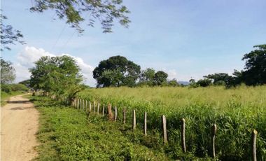 VENTA DE FINCA GANADERA EN PIOJO - ATLANTICO