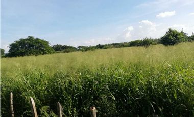 VENTA DE FINCA GANADERA EN PIOJO - ATLANTICO
