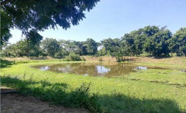 VENTA DE FINCA GANADERA EN PIOJO - ATLANTICO