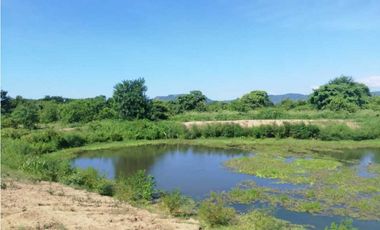 VENTA DE FINCA GANADERA EN PIOJO - ATLANTICO