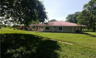 VENTA DE FINCA GANADERA EN PIOJO - ATLANTICO