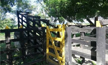 VENTA DE FINCA GANADERA EN PIOJO - ATLANTICO