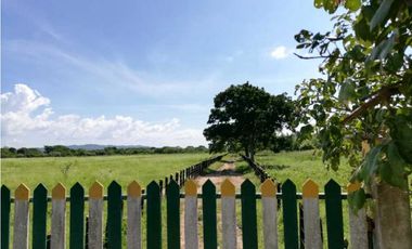 VENTA DE FINCA GANADERA EN PIOJO - ATLANTICO
