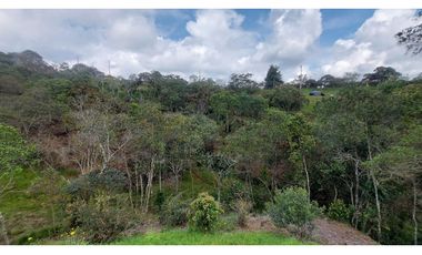 Lote en Venta en Guarne Antioquia