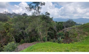Lote en Venta en Guarne Antioquia