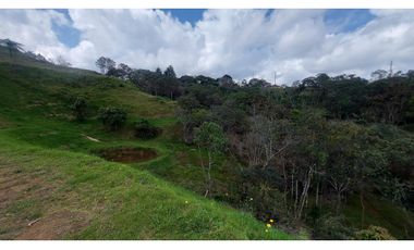 Lote en Venta en Guarne Antioquia