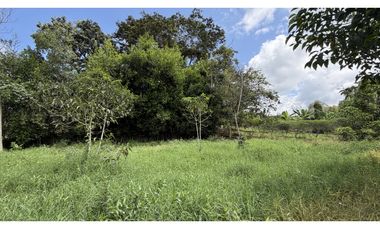 VENTA DE FINCA EN MONTENEGRO, QUINDO, COLOMBIA