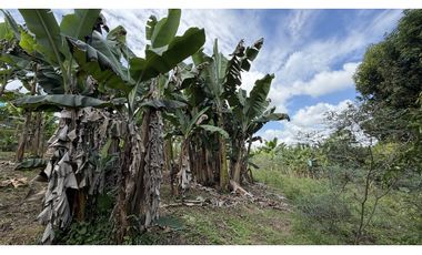 VENTA DE FINCA EN MONTENEGRO, QUINDO, COLOMBIA