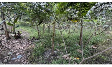 VENTA DE FINCA EN MONTENEGRO, QUINDO, COLOMBIA