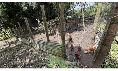 VENTA DE FINCA EN MONTENEGRO, QUINDO, COLOMBIA
