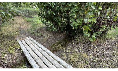 VENTA DE FINCA EN MONTENEGRO, QUINDO, COLOMBIA