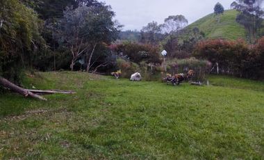 FINCA EN VENTA EN EL RETIRO VEREDA EL CHUSCAL.