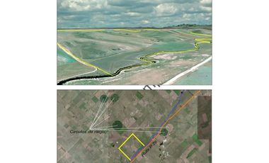 CAMPO MIXTO 520 HA