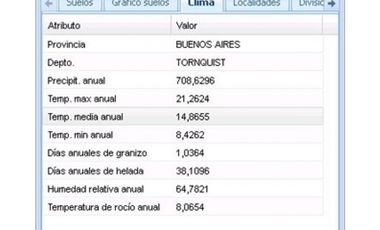 CAMPO MIXTO 520 HA
