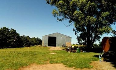 CAMPO MIXTO 520 HA