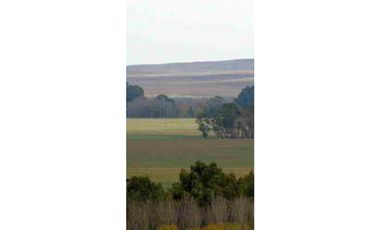 216 HA CAMPO MIXTO