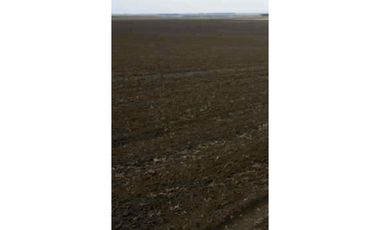 216 HA CAMPO MIXTO