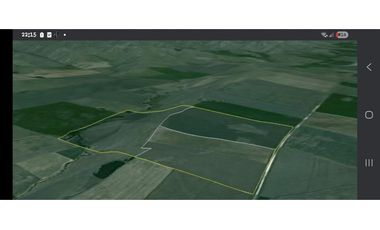216 HA CAMPO MIXTO
