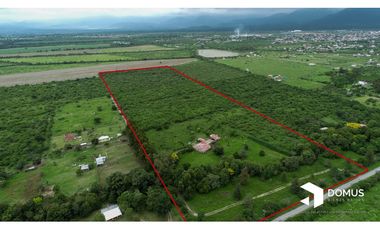 VENTA 12 HECTAREAS EN CAMPO QUIJANO