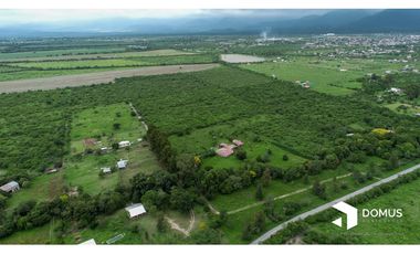 VENTA 12 HECTAREAS EN CAMPO QUIJANO
