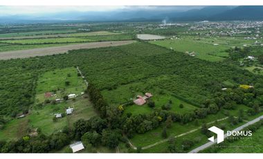 VENTA 12 HECTAREAS EN CAMPO QUIJANO