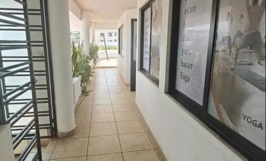 Local Planta alta zona Corregidora