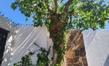 Departamento Amueblado  Renta en Mirador Residencial, Monterrey, N.L.