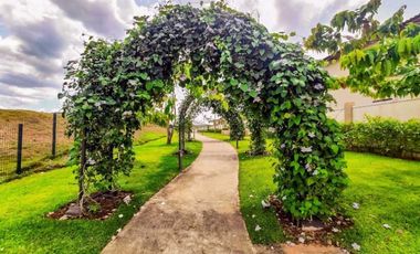 APARTAMENTO EN VENTA MIDRISE WOODLANDS PANAMA PACIFICO