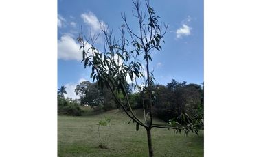 SAN CARLOS / EL VALLE VILLAGE / 1600M / AREA SOCIAL / PISCINA / AG