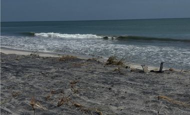 GORGONA / PLAYA MALIBU / 910M / 2 HABITACION / FRENTE AL MAR