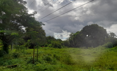 COCLE / RIO HATO / 5606M / SOBRE LA VIA / TOPOGRAFIA PLANA / AG
